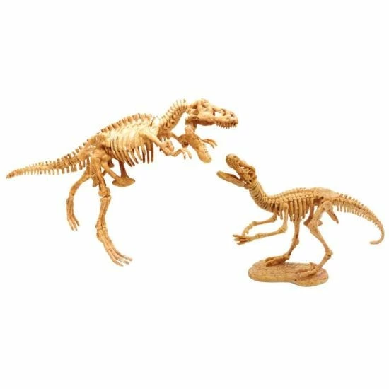 Buki Dino Dig - Image 3