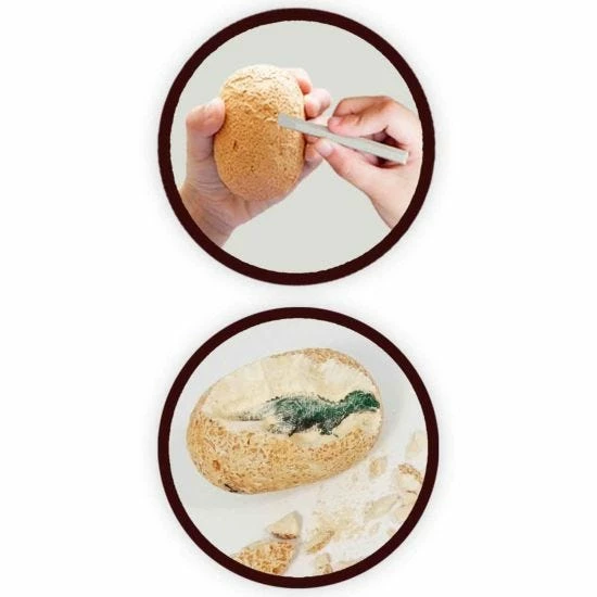 Buki Dino Eggs Maxi Pack Of 12 - Image 4