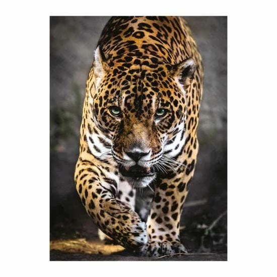 Clementoni Walk Of The Jaguar 1000 Piece Jigsaw Puzzle - Image 3